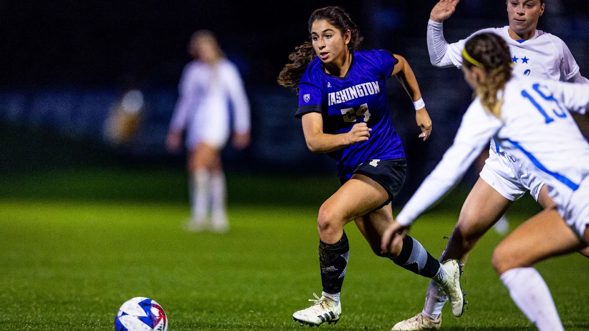 席尔瓦和菲 席尔瓦和菲